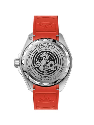 OMEGA Planet Ocean 6000m Grey watch caseback